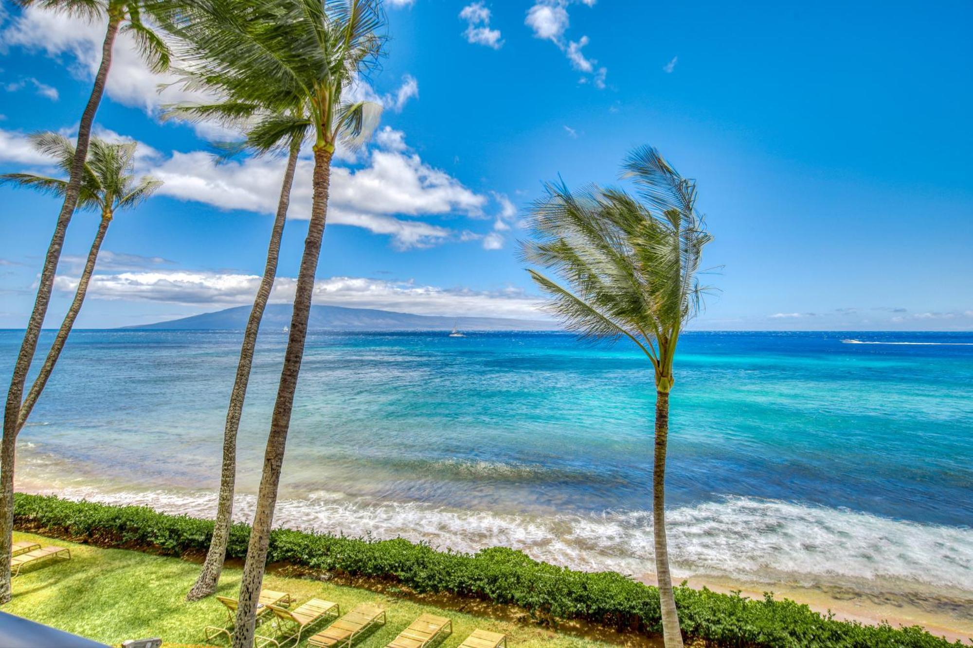 Mahana At Kaanapali Værelse billede